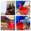 PoultryMug™ - Automatiske Drikkekopper for Kyllinger