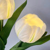 Last inn bildet i Gallery Viewer, BloomGlow™ - Tulipan Bordlampe